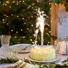 Christmas Pudding or Cake Ice Fountain